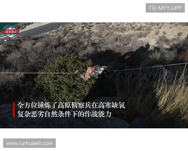 从零起步：极限运动力量训练全方位指南与技巧分享